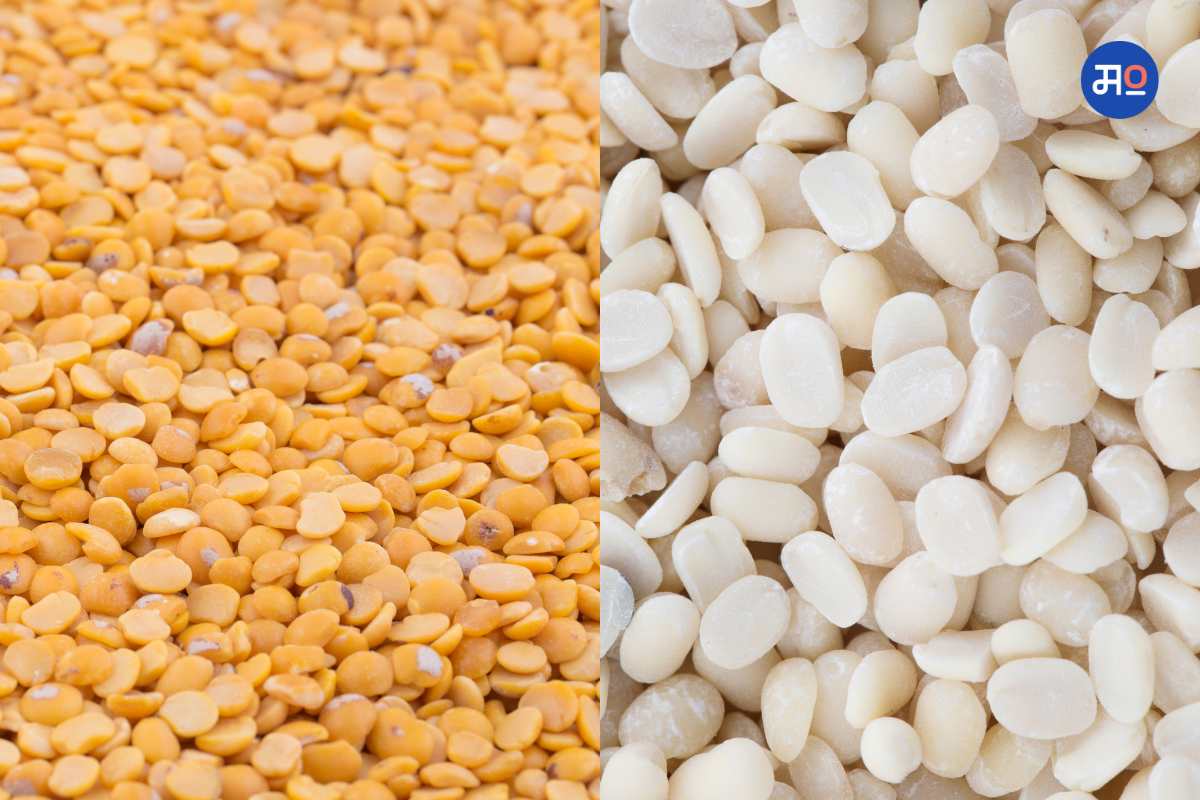 सणासुदीच्या पार्श्वभूमीवर सरकाराच मोठा निर्णय; मर्यादित डाळीचा साठा ठेवण्याच्या मुदतीमध्ये वाढ