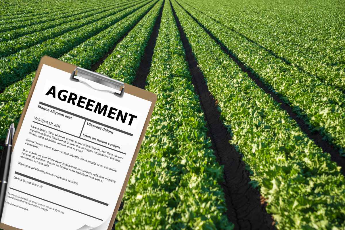 Registration of heirs