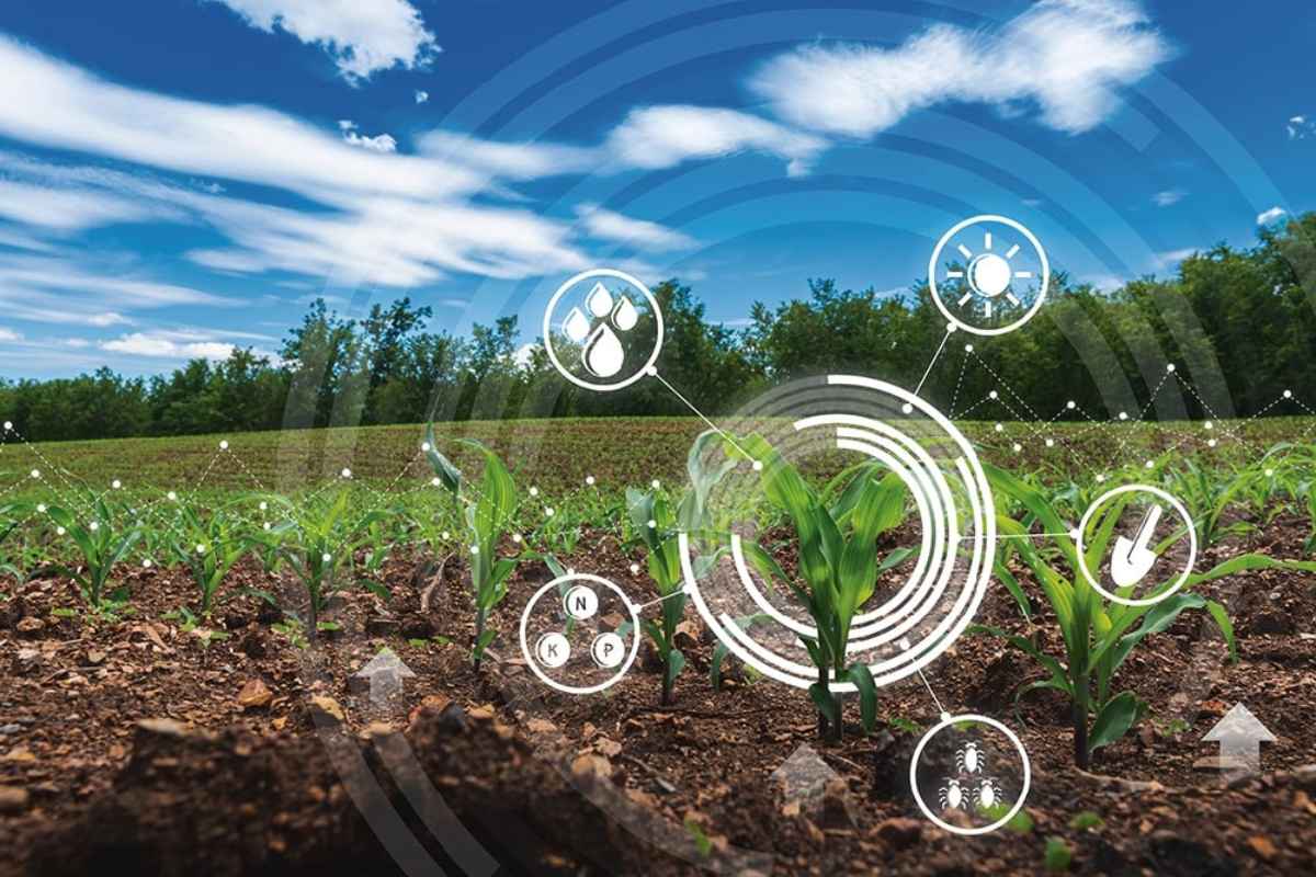 AI Farming: आर्टिफिशियल इंटेलिजन्सच्या सहाय्यानं आता शेतीत क्रांती! शेतकऱ्यांना मिळणार भरघोस नफा