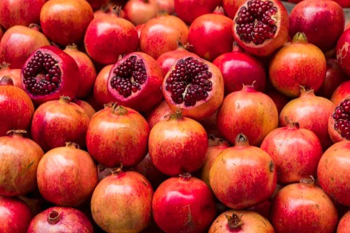 Pomegranate Export