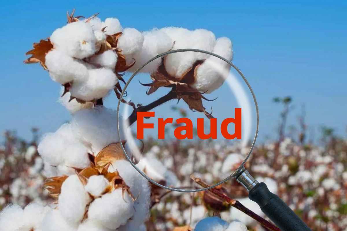 Cotton Fraud