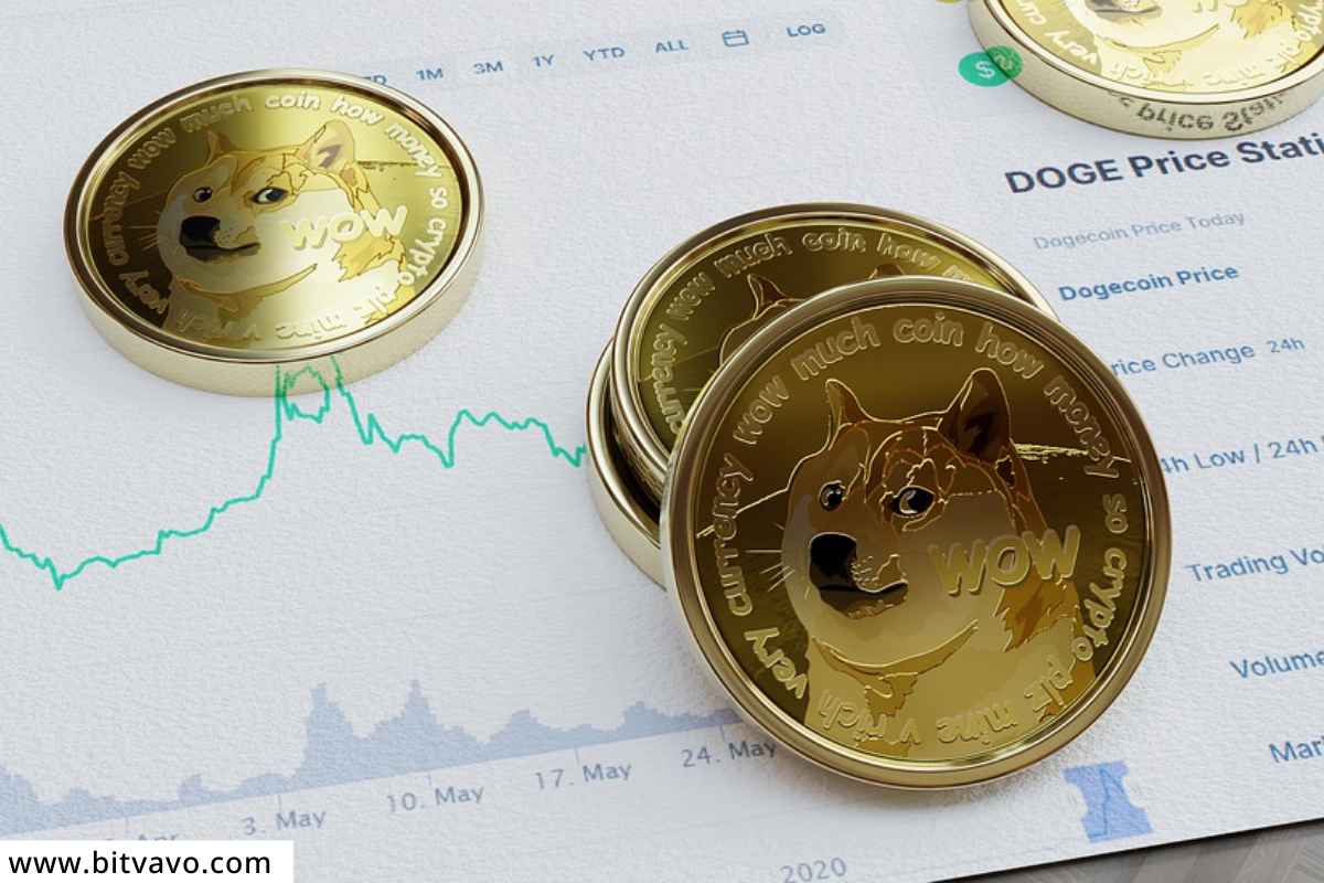 Dogecoin मध्ये गुंतवणूक करण्याचा विचार करताय, हे तपासून पहा