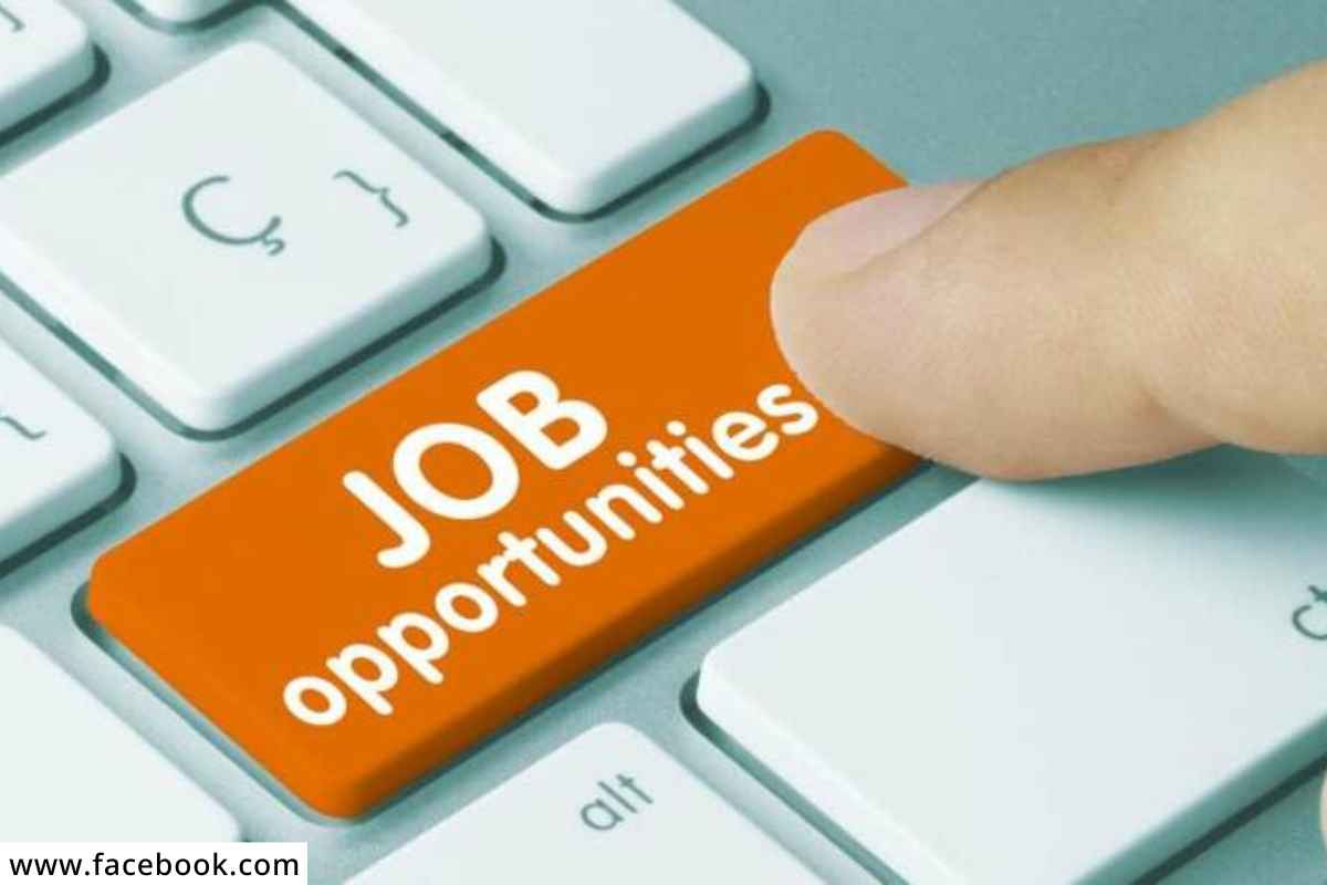 Maharashtra Job Fair 2022 – राज्य सरकारच्या रोजगार मेळाव्याबद्दल जाणून घ्या सर्व माहिती