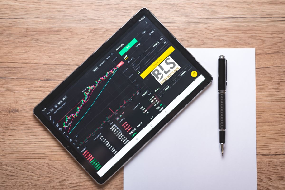 BLS International Services Ltd