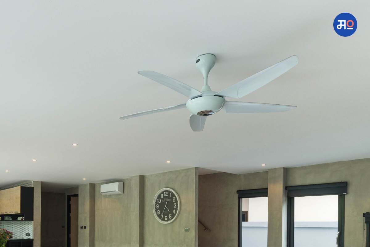 New Rules for Ceiling Fan