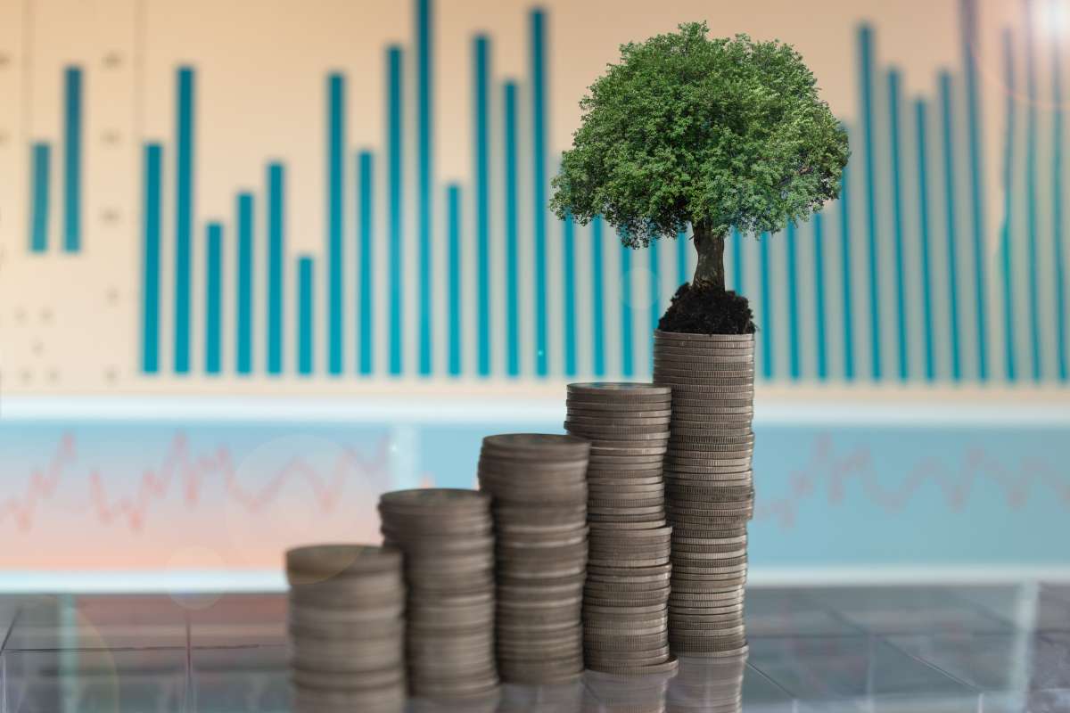 Mutual Fund Investment, Contra Fund