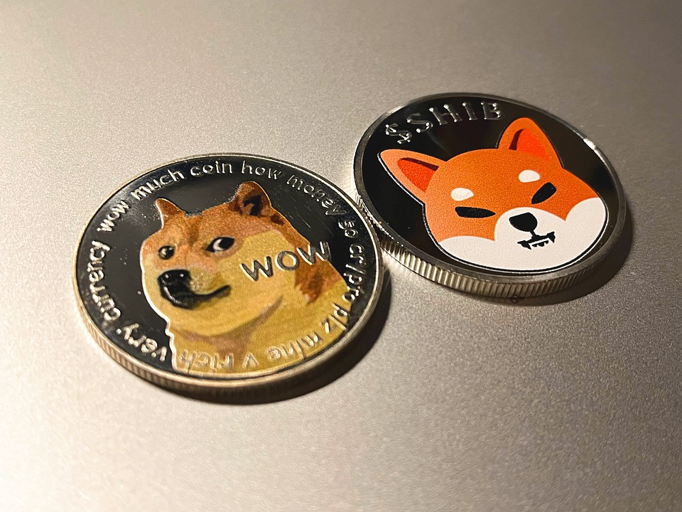 Shiba Inu Cryptocurrency: शिबा इनू मध्ये गुंतवणूक करण्यापूर्वी लक्षात ठेवा या गोष्टी