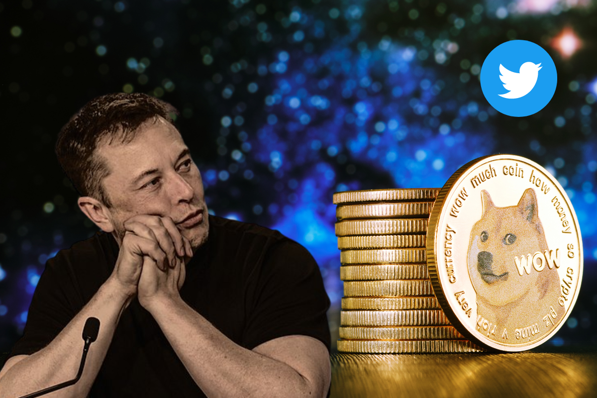 Twitter Deal Impact on Dogecoin