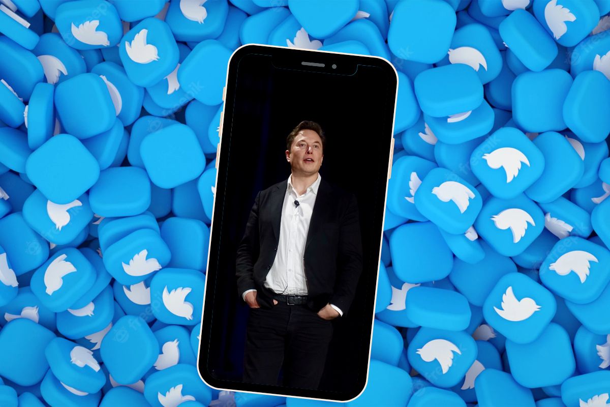 Elon Musk, Twitter India Job Cut, Elon Musk