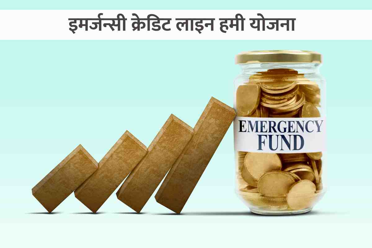 Emergency Credit Line Guarantee Scheme relaunch