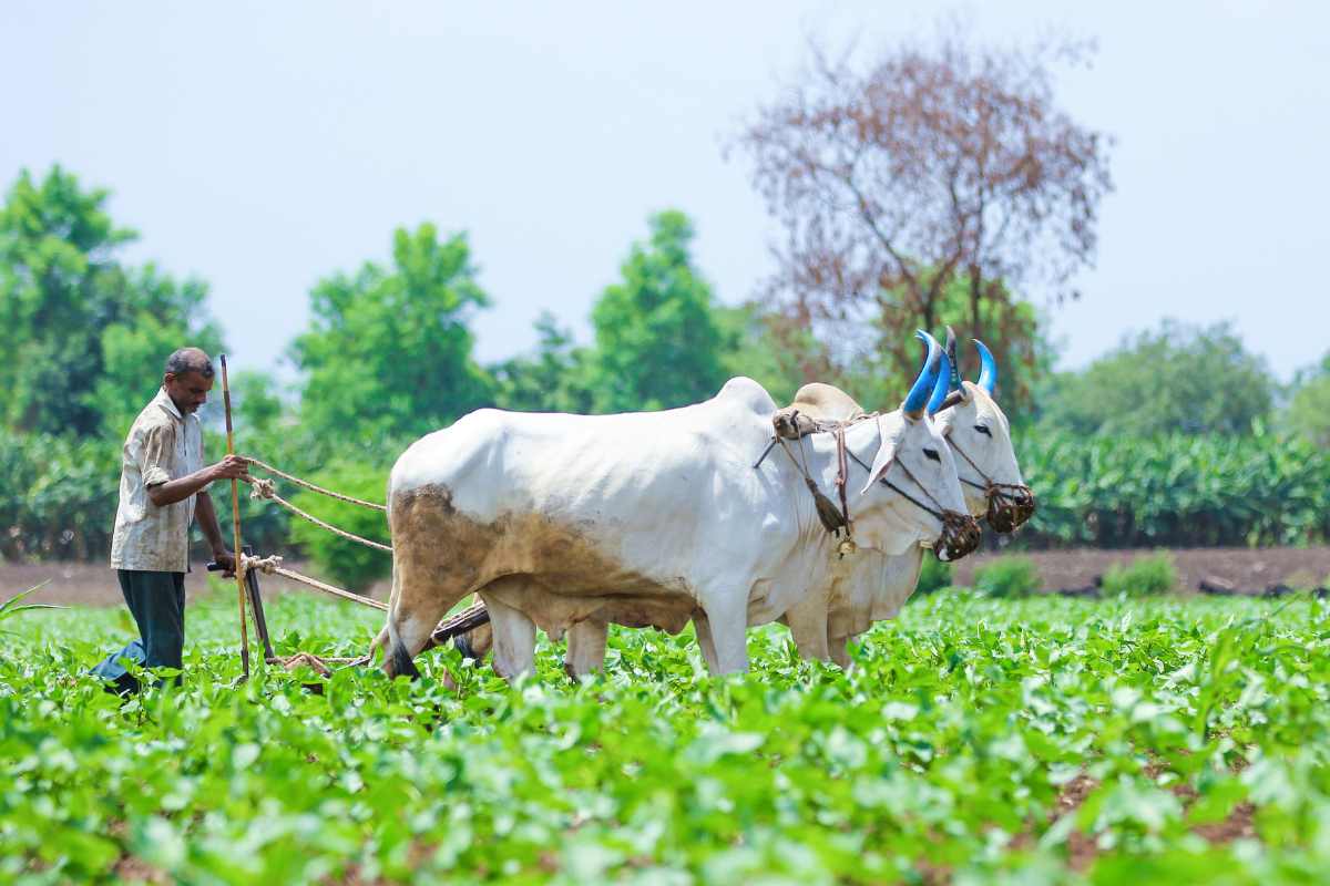 Farmers Expectations from Maharashtra Budget 2023