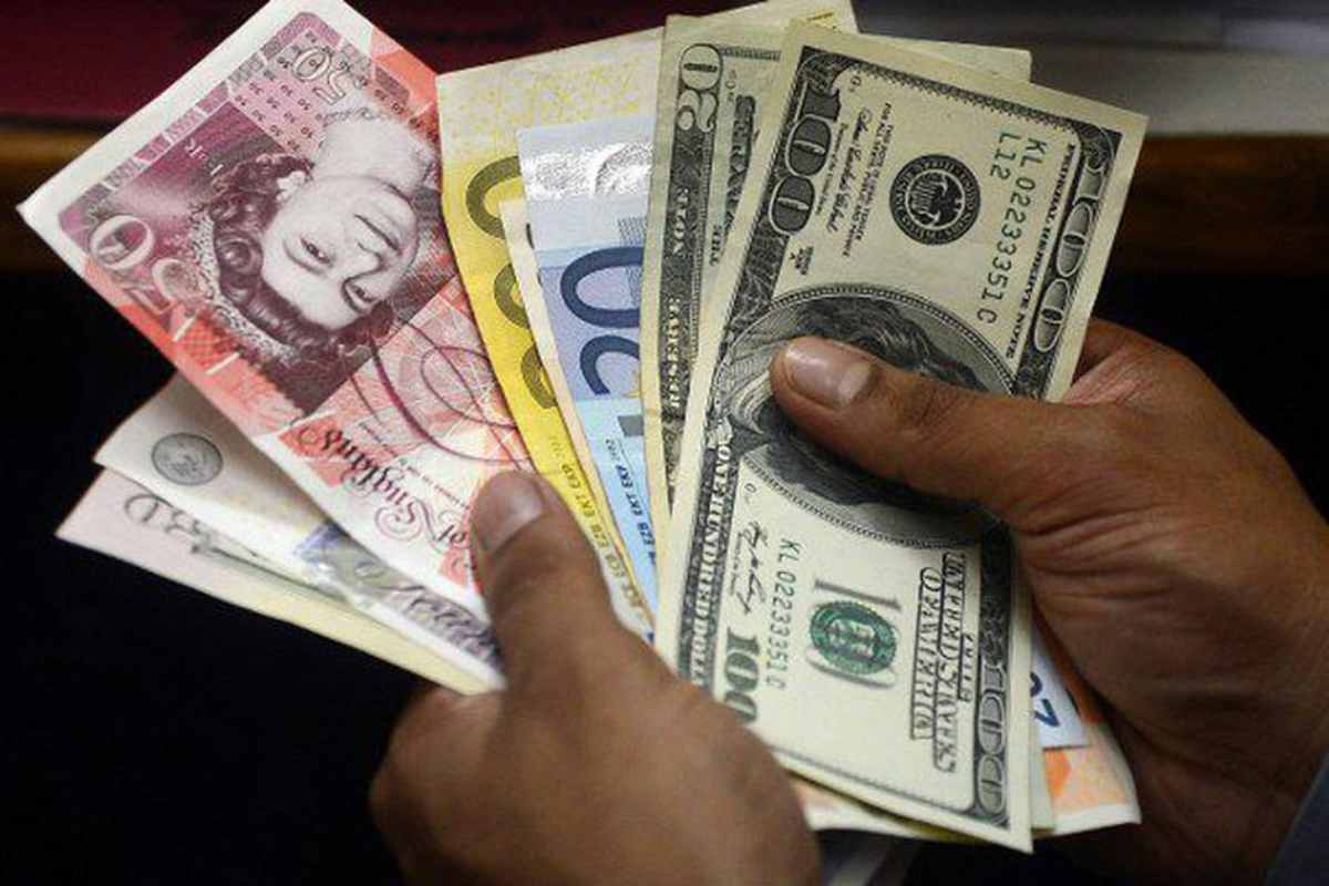 What is Foreign Exchange Reserves