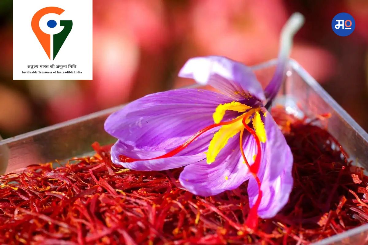 Kashmiri Saffron Price Hike