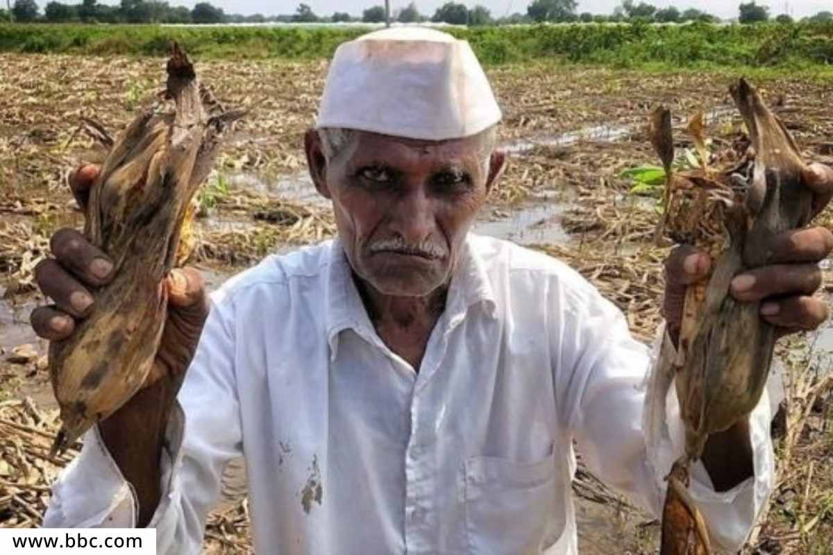 Maharashtra Agricultural Insurance