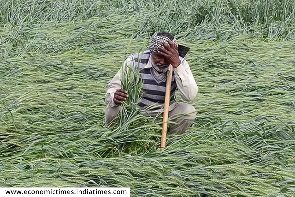 Crop Insurance Claim