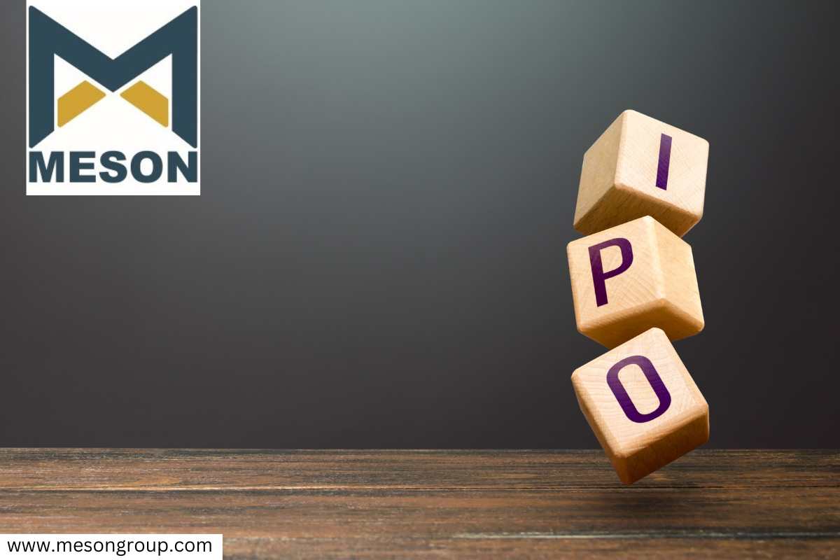 Meson Valves IPO