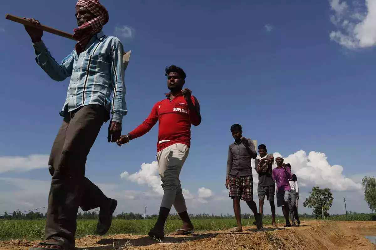 social schemes funding reduced