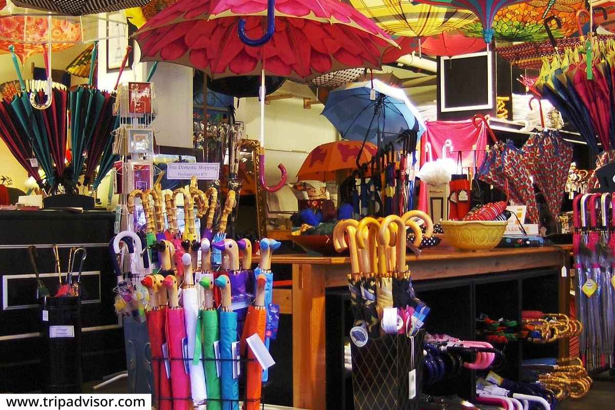 Monsoon Business Ideas