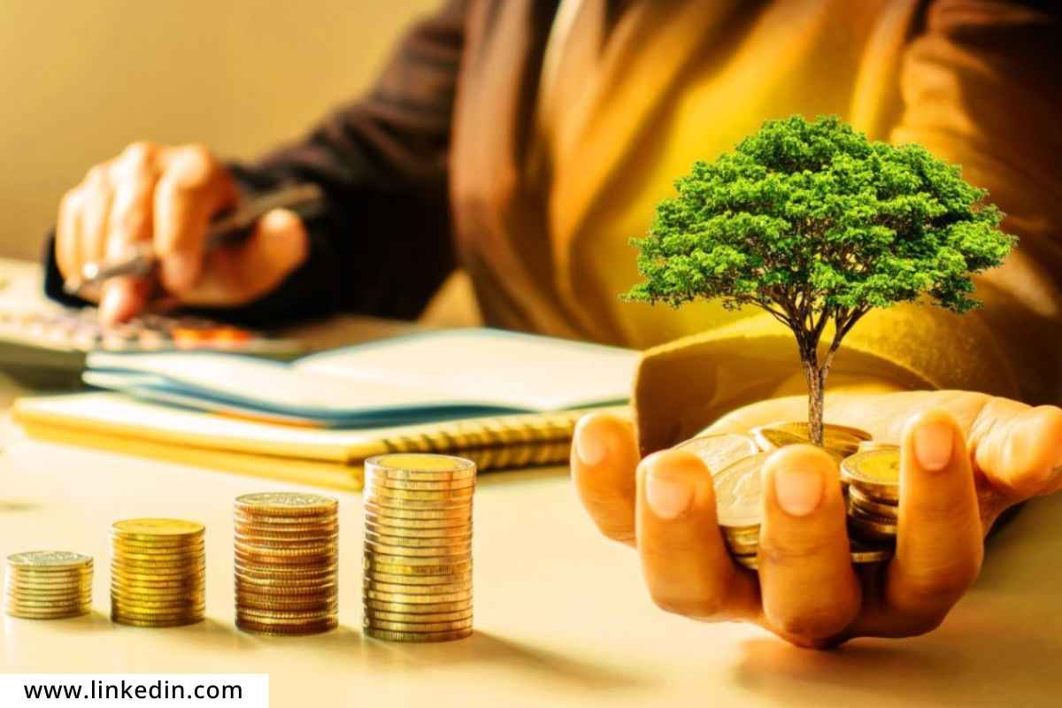 Top Mutual Funds:  'या' 5 स्माॅल कॅप फंड्सनी 1 वर्षात दिलाय जबरदस्त रिटर्न!