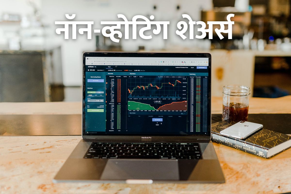 What is Non-Voting Shares