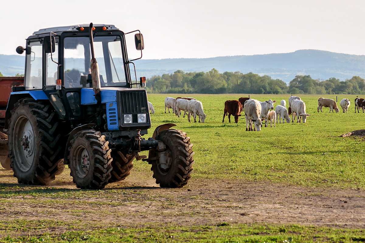 Cow Dung Tractor