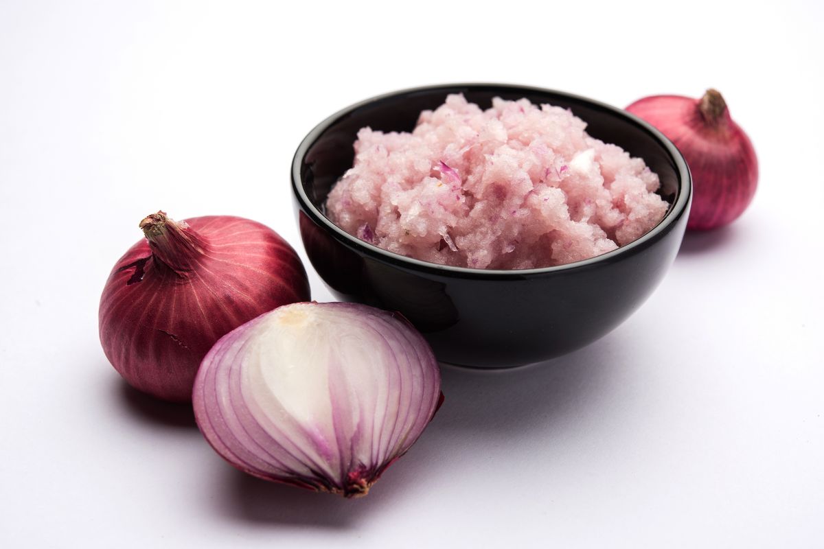 Onion Paste Business: