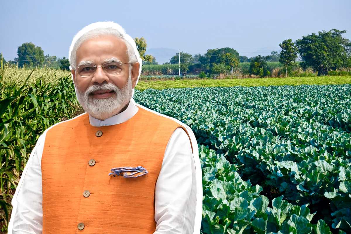 Under MSCS act form new 3 institute