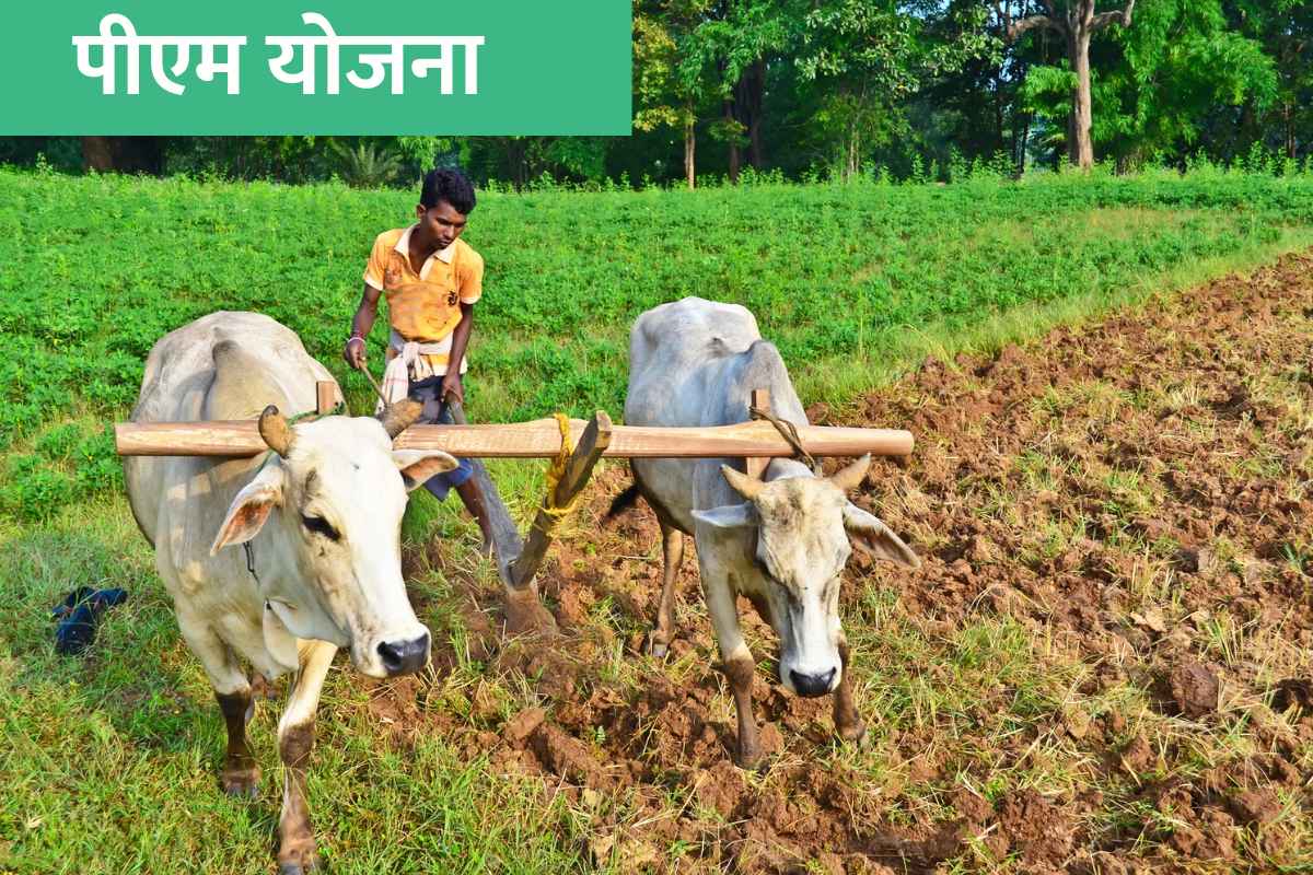 PM Kisan Installment