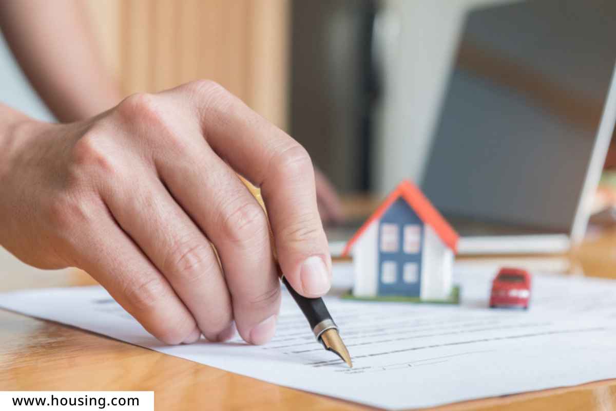 Property Search Report