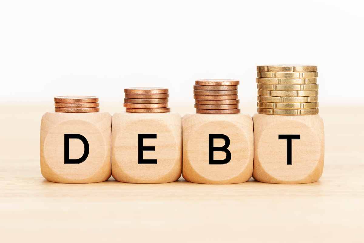 What is public debt?