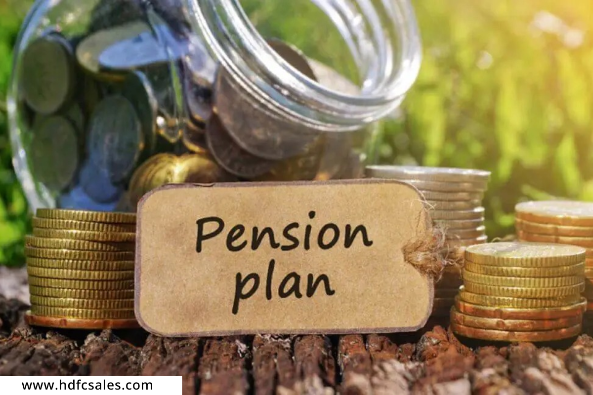 Investment in National Pension Scheme
