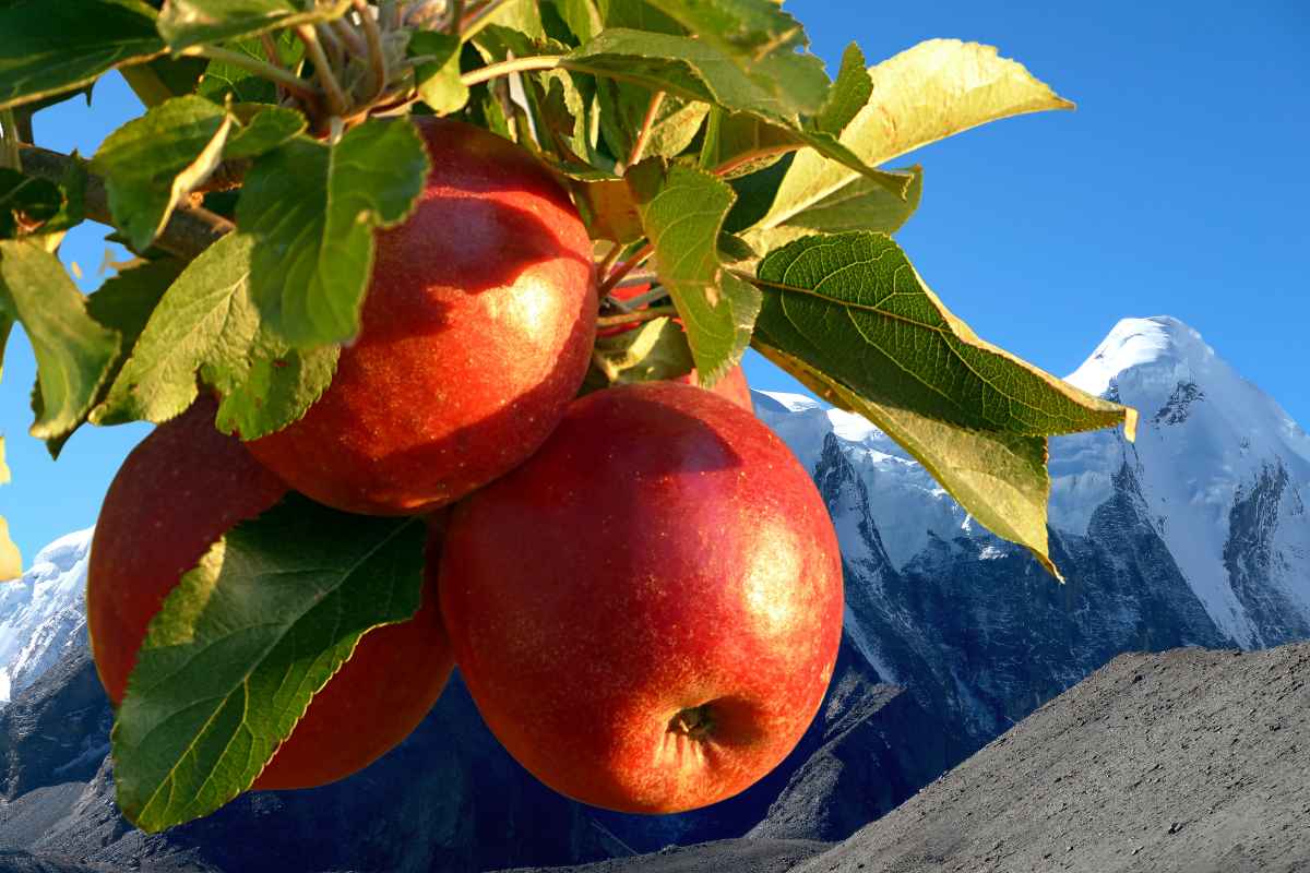 Richest Village in Asia