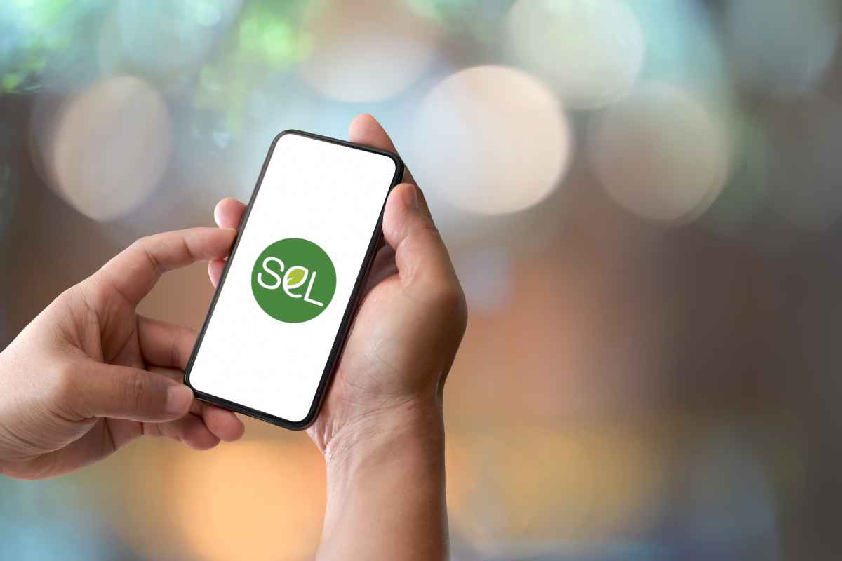 Multibagger Stock SEL Manufacturing Company: