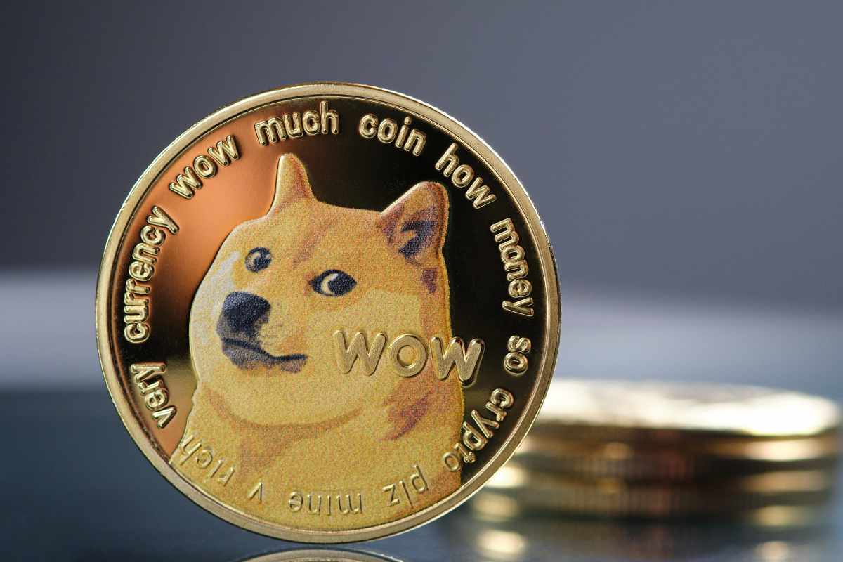 Shiba Inu Cryptocurrency