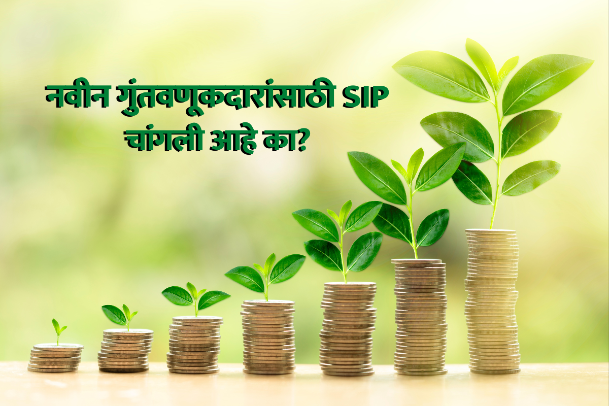 SIP is good for new investor
