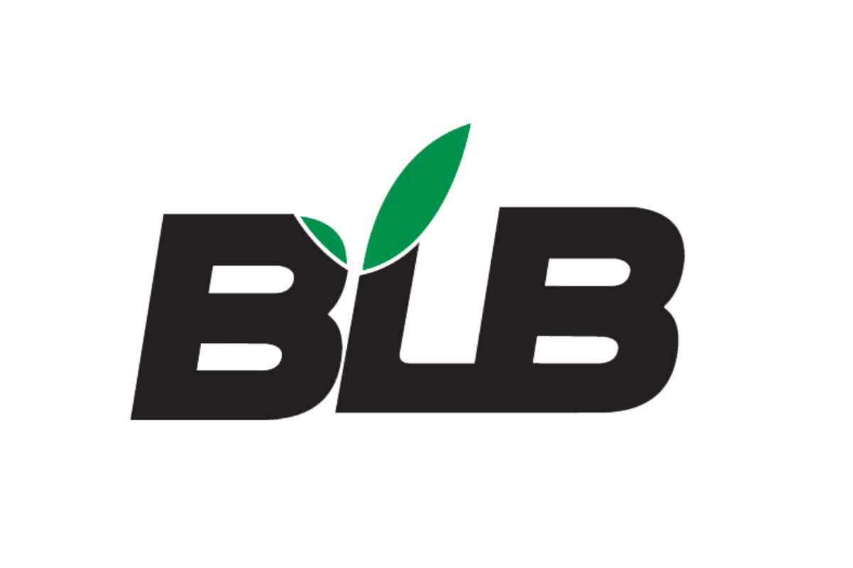 BLB become Multibagger Stocks
