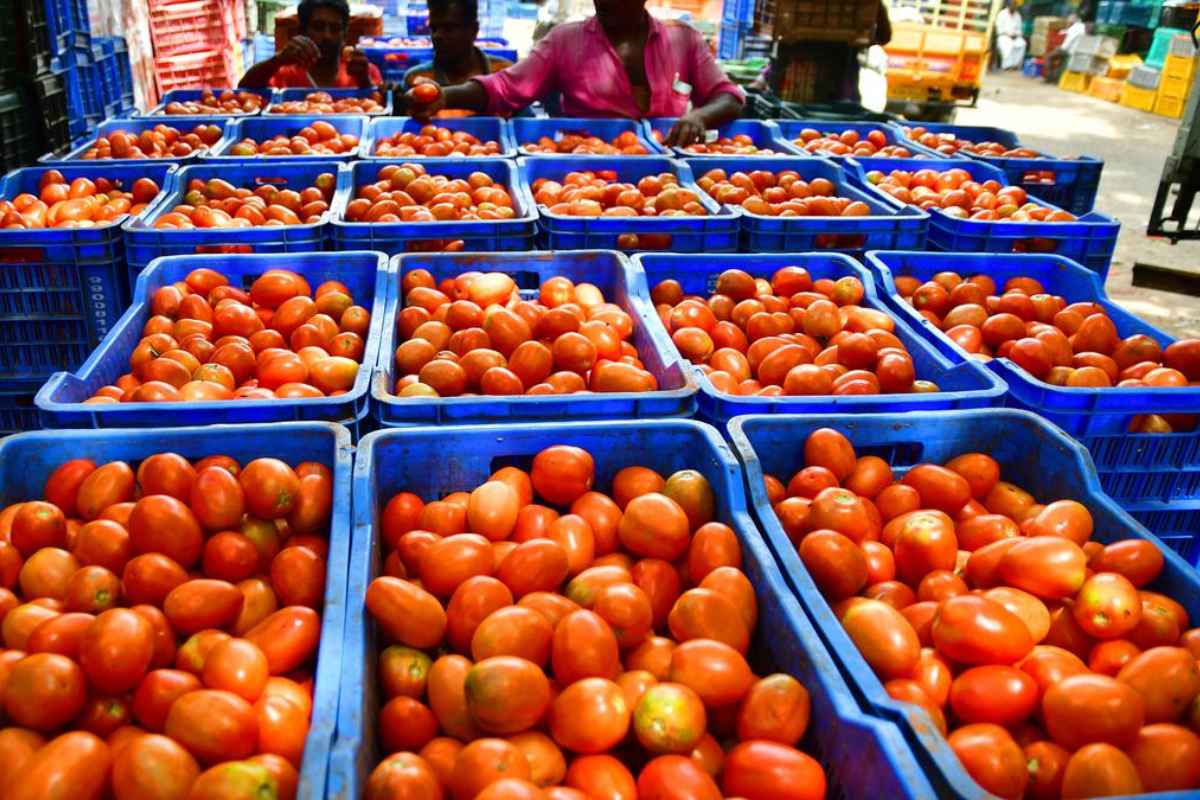 Tomato Price Hike Effect