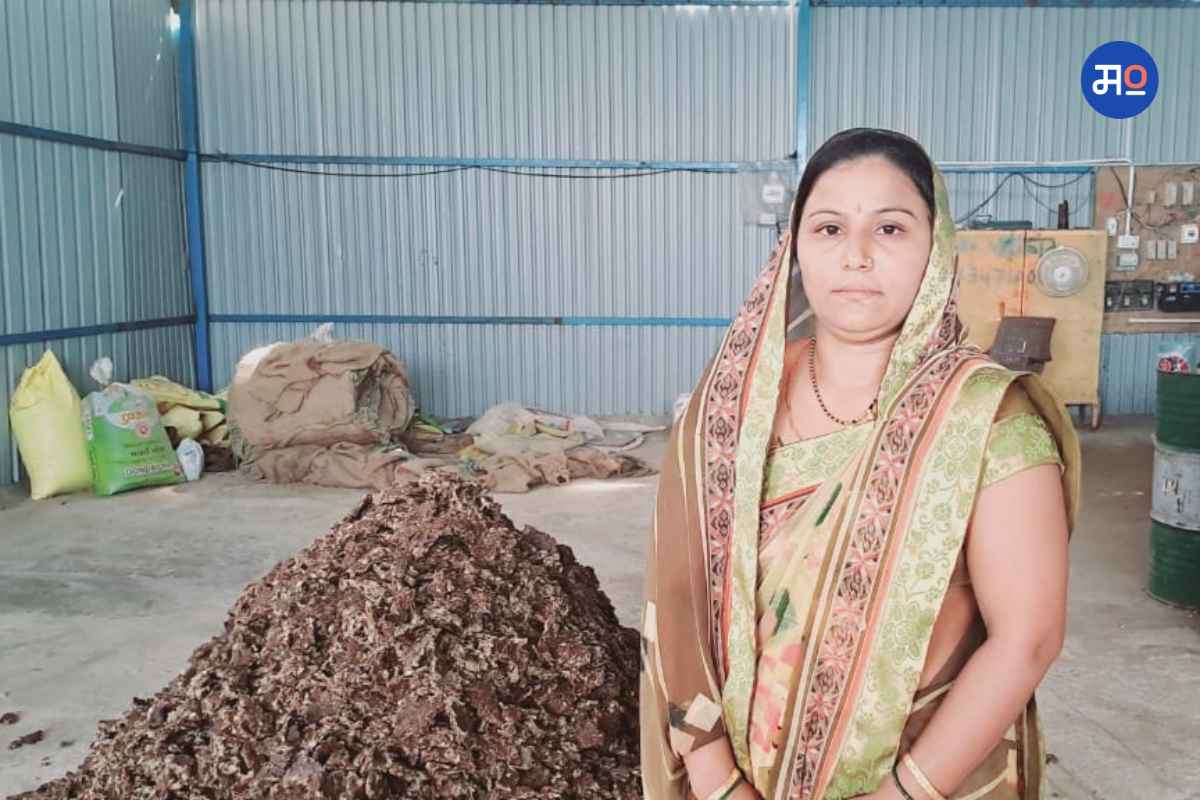 Cotton Seed Cake Business