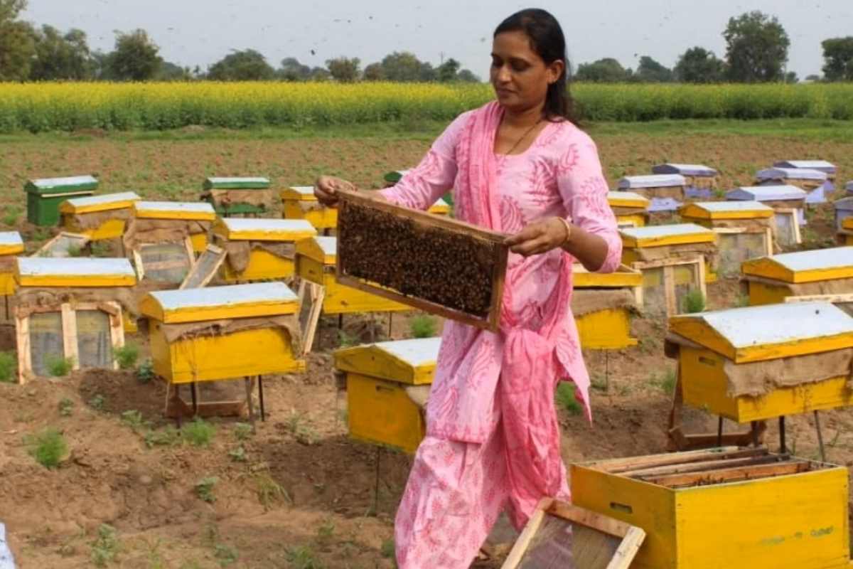 Beekeeping business