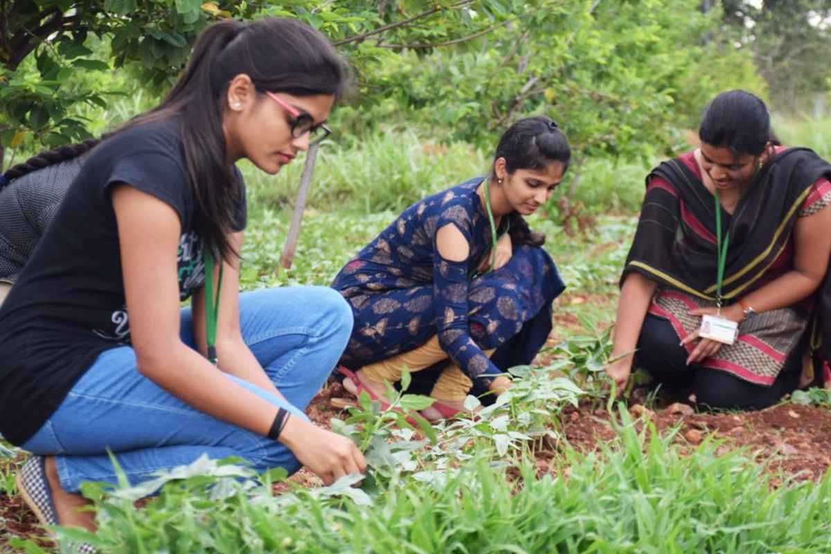 Agriculture Sector Jobs