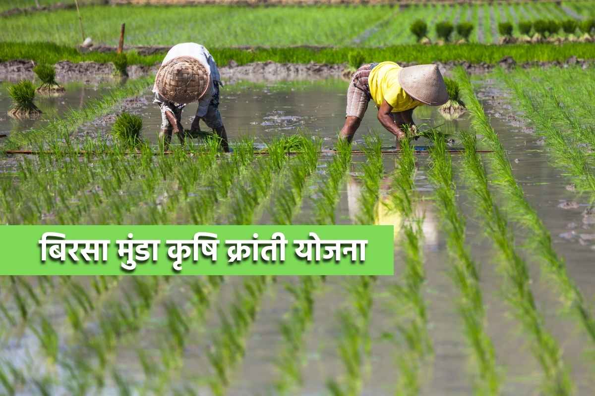 Birsa munda Krishi Kranti scheme