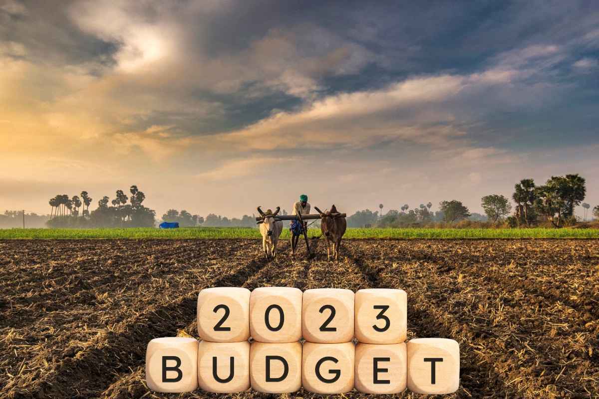 Budget 2023