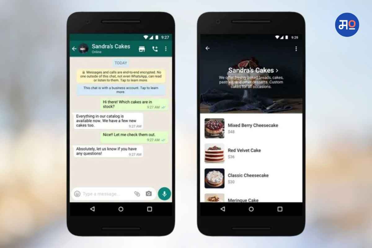 WhatsApp Flows : व्हॉट्सॲप चॅटद्वारे व्यवसाय करण्यास होणार मदत; मेटाने लॉन्च केले नवीन फीचर