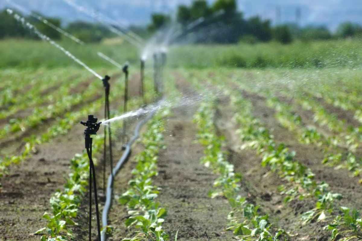 Mukhyamantri Shashwat Krishi Sinchan Yojana