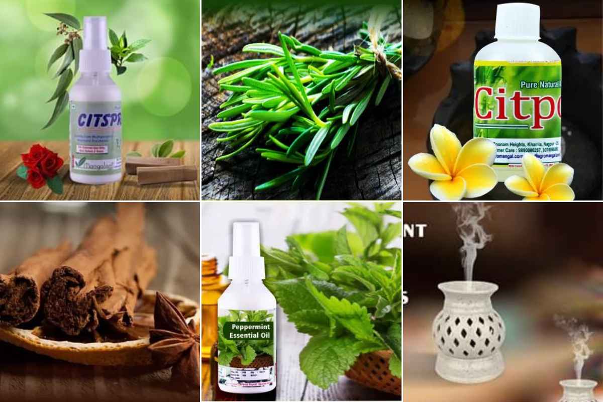 Essential Oils Business