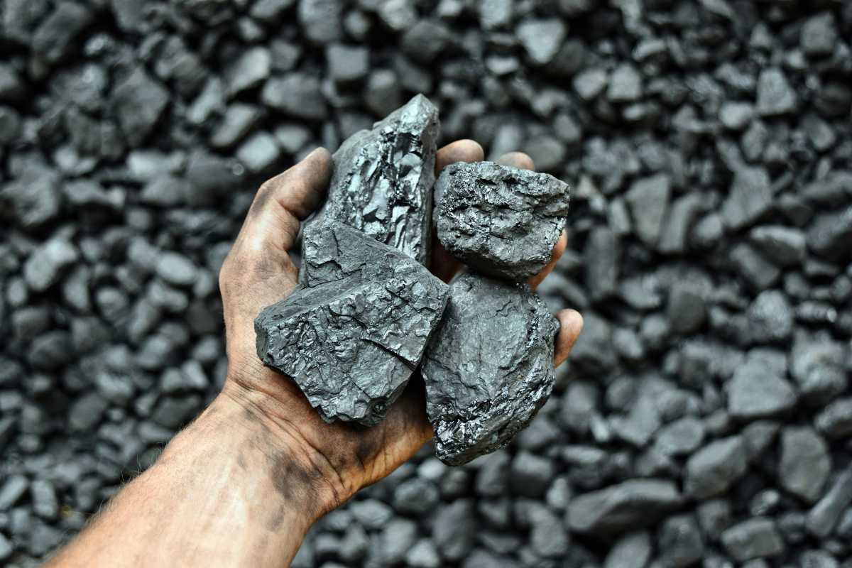 Import Coal