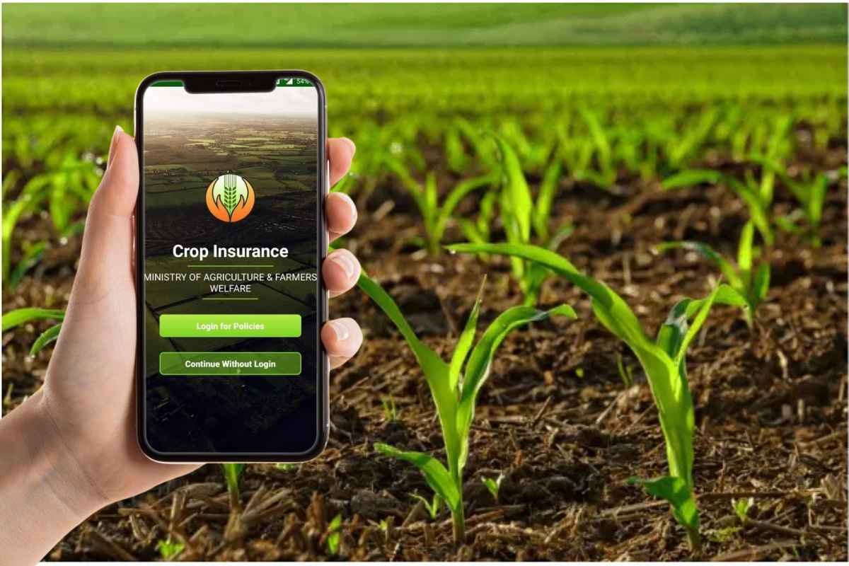 पीक विमा