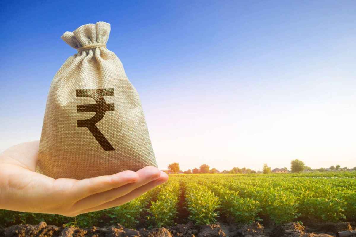 Crop Loan Scheme : डॉ.पंजाबराव देशमुख व्याज सवलत योजना; 3 लाखांपर्यंत शून्य व्याजदराने पीक कर्ज