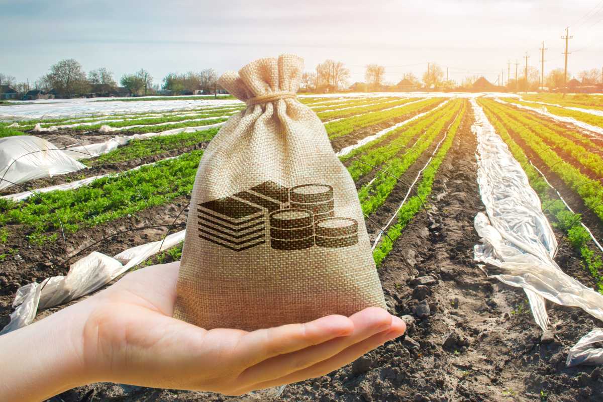 What are the types of crop loans?, Crop Loan