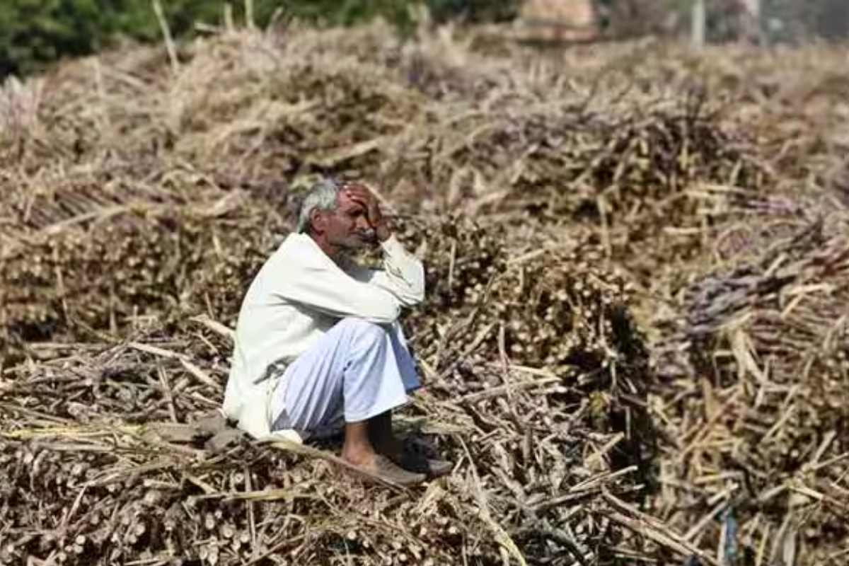 Farmer survey report : मराठवाड्यातील शेतकऱ्यांच्या समस्या दूर करण्यासाठी 51 हजार 737 कोटींची गरज - केंद्रेकर